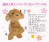 Comfortable Life: A Talkative Robot Animal (Fluffy Toy Poodle)