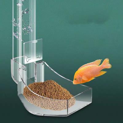 Peces y mascotas acuáticas – Mantenimiento de acuario