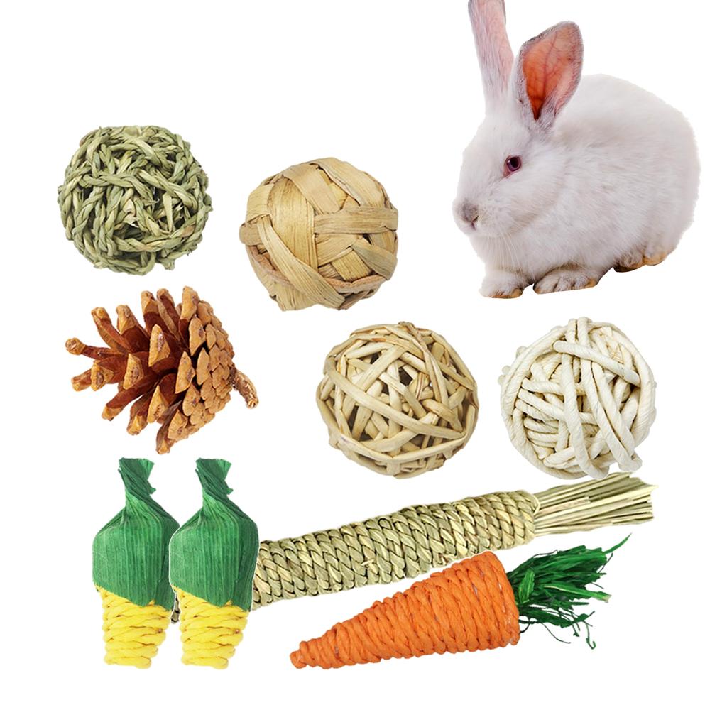 rabbit exercise toys