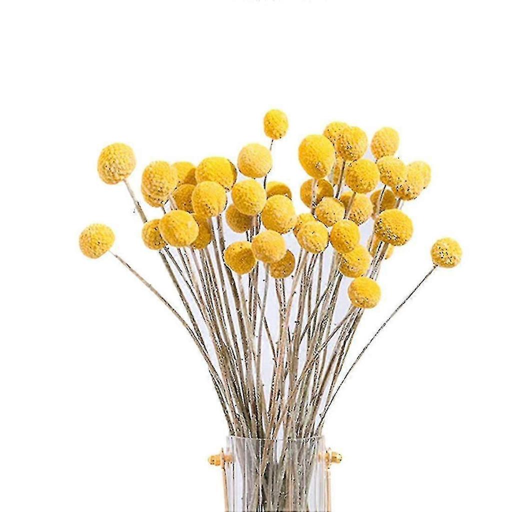 40pcs Dried Craspedia Flowers Dried Billy Button Balls Flowers,dried Flower Bouquet For Arrangement-fast Delivery (best)