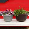 Semi-Circular Wall-Mounted Flower Pot Plastic Imitation Rattan Hanging Succulent Green Radish Special Balcony Decoration Contain
