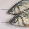 Simulation Simulation Fish Pencil Case Large Capacity Pencils Pouch  Kids Gifts