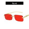 Cheetah Frameless Square Retro Leopard Metal Sunglasses 2022 Trend