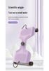 Adjustable Silent Double Bearing Waist Twisting Disc for Fitness