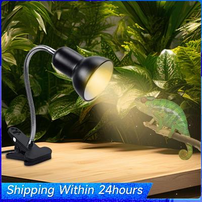 Wärmelampe für Reptil Schildkröte Aquarium Tank Heizlampen Halter mit Klemme Amphibien Reptil Lichtständer für Schildkröte/Schlange/Eidechse