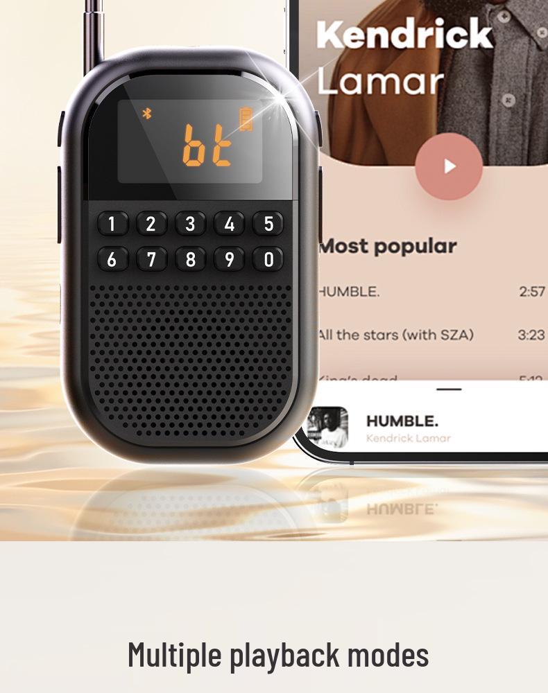Mini Bluetooth Rechargeable FM/AM Radio with Card Slot
