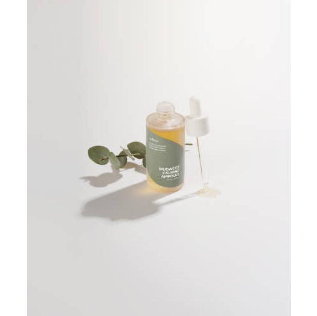 Isntree Mugwort Calming Ampoule 50ml – Soothing & Hydrating Serum