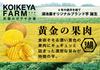 KOIKEYA FARM Golden Flesh Amami Grilled Salt 55g x 12 bags