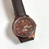 Used CITIZEN Women's EE1002-01W Red Brown