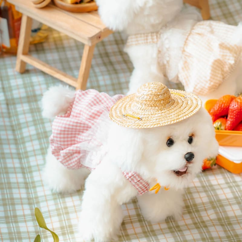 

[Pet] Straw Hat M
