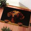 Cute Dachshund Front Door Mat Paw Print Plaid Welcome Carpet Decorative Floor Rug for Indoor Entrance Hallway Pet Lover Gift