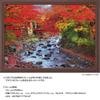 Yanoman [Made In Japan] 500-Piece Jigsaw Puzzle: The Colorful Katsuragawa River At Shuzenji (Shizuoka) (38x53cm) 05-1098, Includes Glue, Spatula,