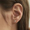 Eigene AAA Akoya Perlenohrringe (4mm / 14 Karat Gold)