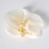 5pcs Simulated Film Butterfly Orchid Flower Head Petals Flower Accessories Headwear Hairclip Handmade Wedding Gift Decoration