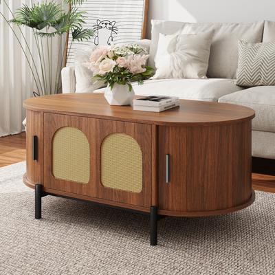 Mesa de Centro Ovalada con Ratán, Puertas Deslizantes, Aspecto de Madera, Patas de Metal, Mesa Multifuncional para Sala de Estar con Almacenamiento