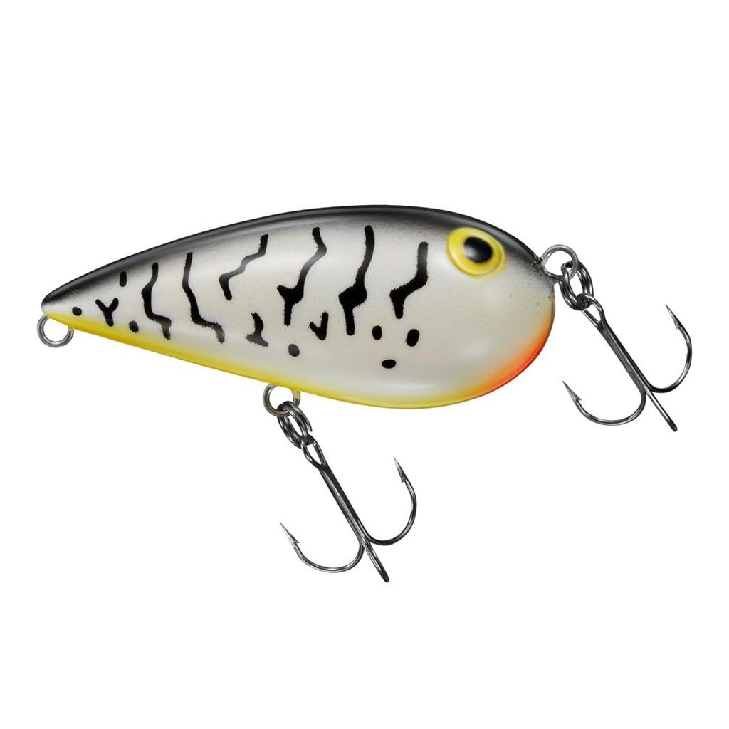 Daiwa Lure Almond White Coach Dog (DAIWA)