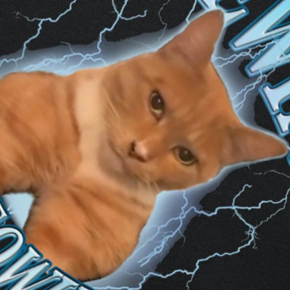 Mewing Not Meowing Female T Shirt Cute Cats Funny Graphic T-shirts Soft Unisex O-neck Tee Tops EU Size Women Clothes