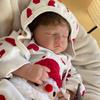 20inch Reborn Baby Doll Tessa Cloth Body Newborn Toy For Girl Princess Bebe Reborn Toy For Birthday Christmas Gift