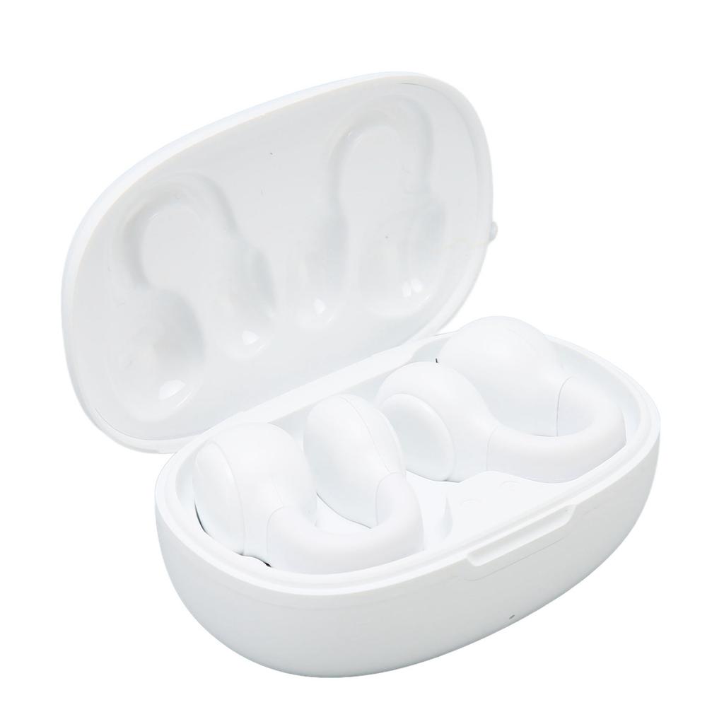 Wireless Earbuds Noise Reduction Bluetooth 5.3 Wireless Sports Earphones with Earhooks for Sports