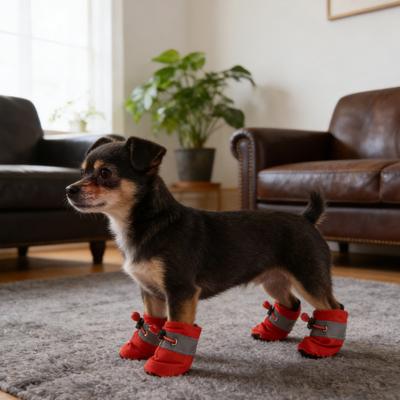 Oblečky a obuv – Obuv pro psy