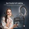 NEEWER ENTRY LEVEL VERSION N37 10.5" RGB Ring Light with Desktop Stand/Phone Holder,for iPhone/Remote, 10W CRI85+ LED Lighting