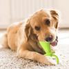 Haustier Spielzeug: , Bissfestes, realistisches Hundespielzeug, das Geräusche macht; Zahndurchbruch und Zahnhygiene Trainingsprodukt für kleine und mittelgroße Hunde.