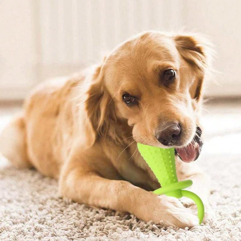 Haustier Spielzeug: , Bissfestes, realistisches Hundespielzeug, das Geräusche macht; Zahndurchbruch und Zahnhygiene Trainingsprodukt für kleine und mittelgroße Hunde.
