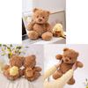 Bear Teddy Adorable Plush Toy With Capybara Companion Cute Animal Gift Perfect