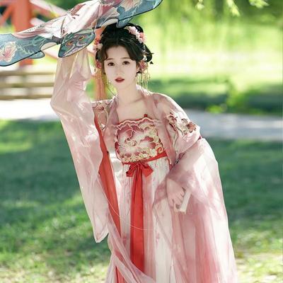Podvazková sukně Hanfu ve stylu čínské dynastie Tang Pohádková košile s velkým rukávem Denní oblek