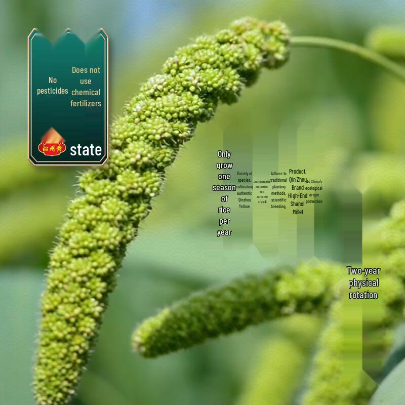 Qinzhou Yellow Millet (3 x 500g Bags)