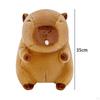 Bubble Capybara Plus Toy Stuffed Kids Room Decor Hugging Plush Doll for Teens