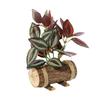 Creative Wooden Basin with Artificial Green Plant Bonsai Ornament for Display and Decoration.