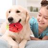 Dog Treat Ball Dispenser Rubber Interactive Dog Treat Puzzle For Training Home Relaxation Energy Consuming Exercise Indoor