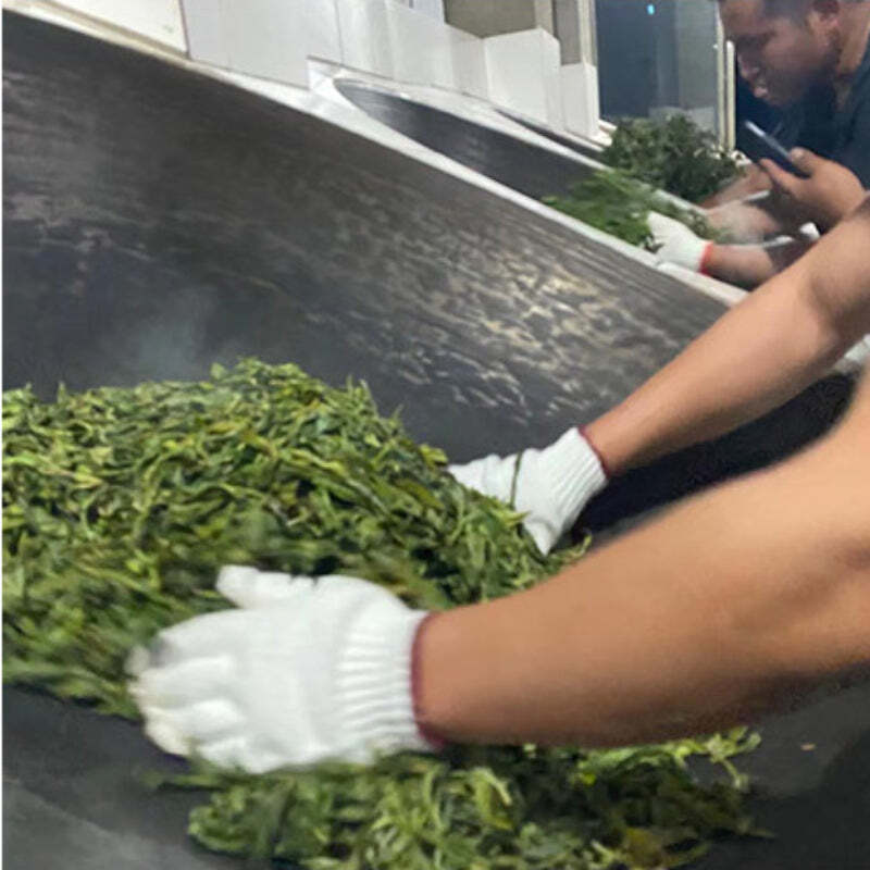 357g Puerh Raw Tea Cake Old Tree Spring Pu-erh Sheng Tea Yunnan Pu'er Green Tea