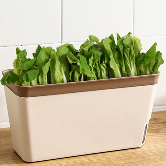 4 Fioriere Rettangolari Per Davanzale Con Vassoio – Plastica Colorata – 43 Cm – Balcone E Giardino