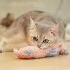 Cat Elephant Kicking Toy