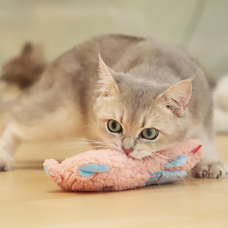 

Cat Elephant Kicking Toy