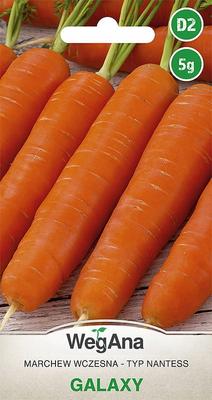 Carrot Galaxy 5g Carrot Seeds -