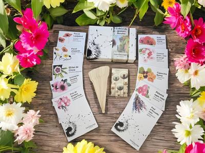 Schachtel mit Samen – Spezielle Blumenterrasse und Balkon – SemiSauvage Permakultur