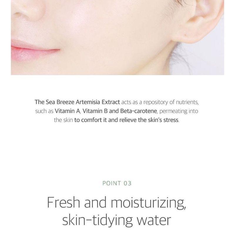 ROUND LAB - Mugwort Calming Toner