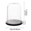 Glass Dome Showcase for Delicate Treasures