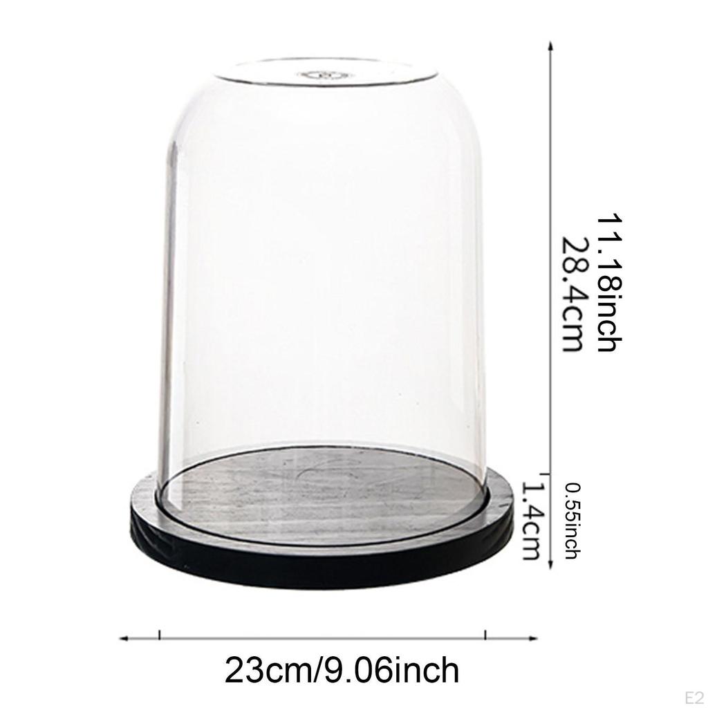 Glass Dome Showcase for Delicate Treasures