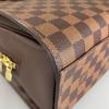 LOUIS VUITTON Damier N5115 Handbag Brown Women used