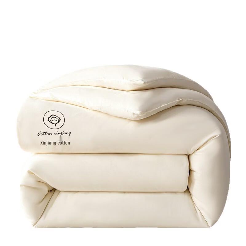 Shixun Winter Warm Cotton Comforter