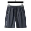Summer Shorts Men's Ice Silk Sports Pants Quick Drying Beach Pants Plus Size Casual Pants