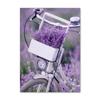 Lienzo Pintura Morado Flores Lila Lavanda Póster Bicicleta Paisaje Rural Imagen Decoración Pared Hogar Dormitorio Fondo
