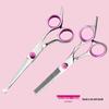 Pet Grooming Curved Scissors Set - Professional Dog Hair Trimming Tool