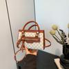 Fashion light luxury handbag women's 2025 new retro printed small square bag niche high-end shoulder messenger bag