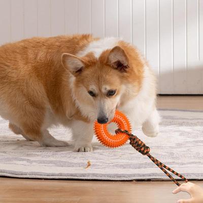 Squeaky Dog Toys Spiky Ring Chewing Trainer Aggressive Chew Indestructible Dog Toy With Rope For Puppy Teething Boredom Relief