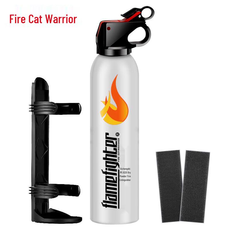 Flame Warrior Dry Powder Fire Extinguisher